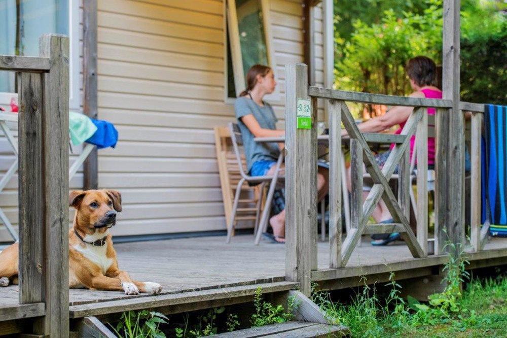 Urlaub mit Hund in Frankreich RCN Ferienparks